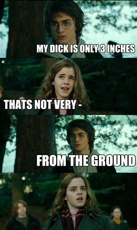 Harry Potter and the Horny Sluts he Fucked .